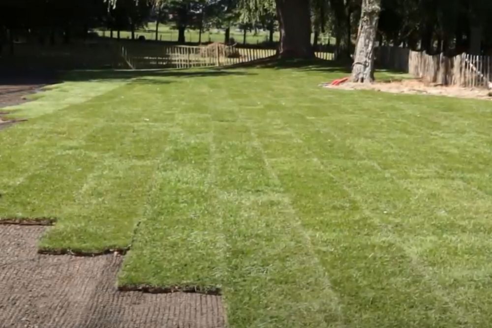 Een lenteschoonmaak voor jouw tuin